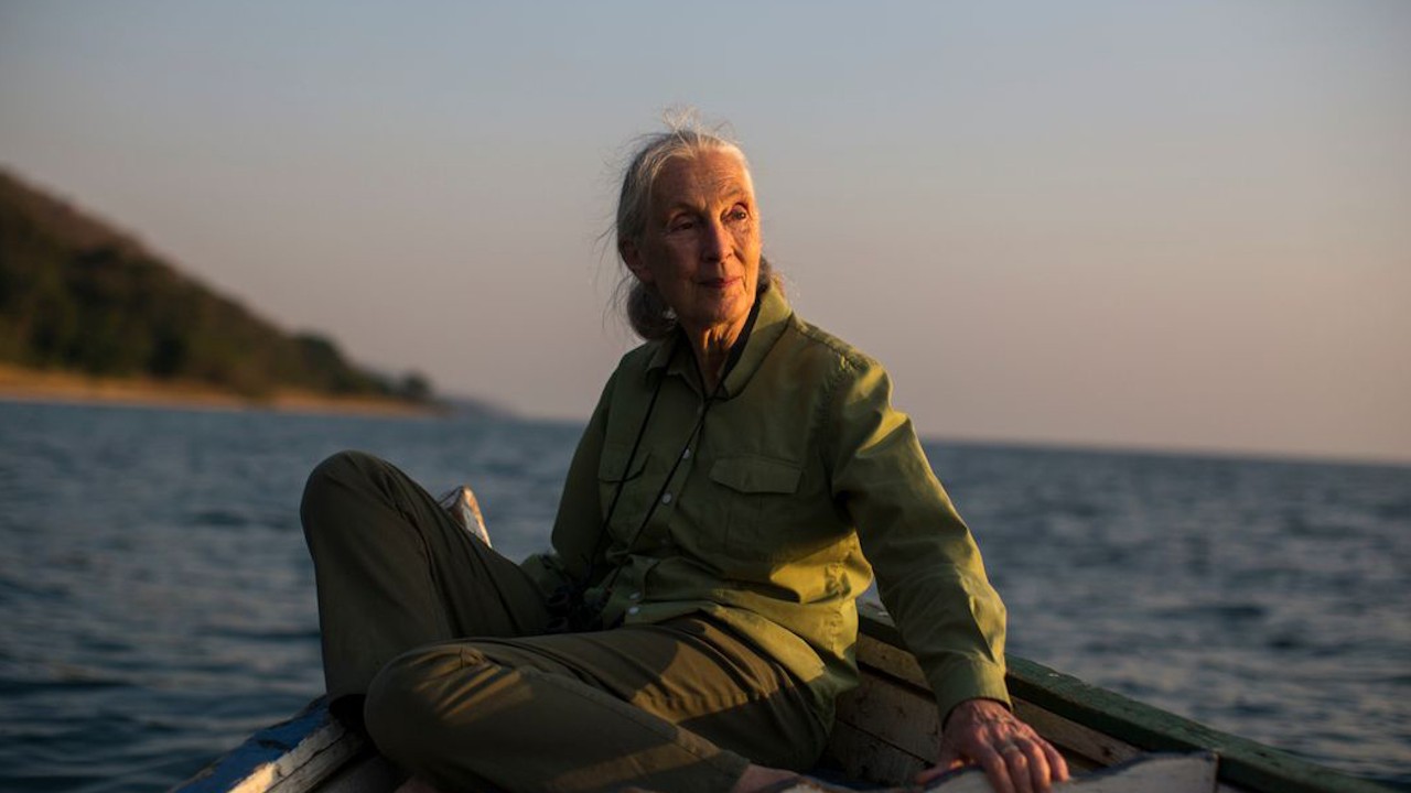 Jane Goodall: The Hope