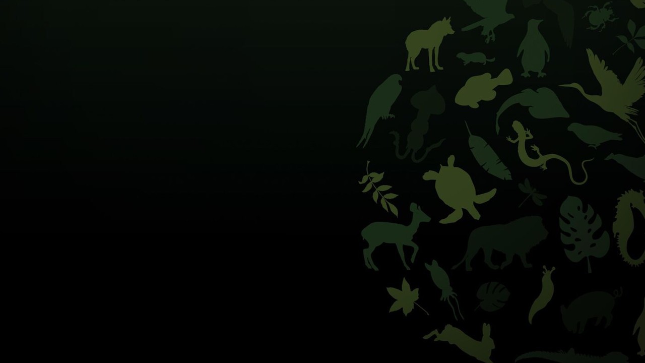 Born Wild: The Next Generation