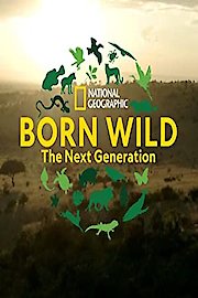 Born Wild: The Next Generation
