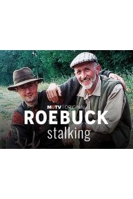 Roebuck Stalking