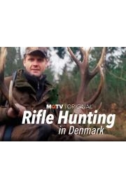 Rifle Hunting in Denmark