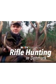 Rifle Hunting in Denmark