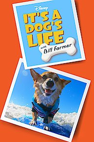 It's a Dog's Life with Bill Farmer