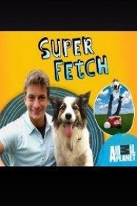 Super Fetch  