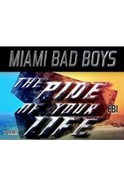 Miami Bad Boys