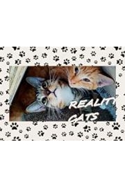 Reality Cats