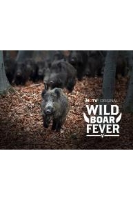 Wild Boar Fever 5