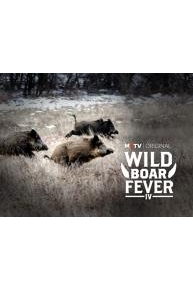 Wild Boar Fever 4