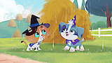 The Missing Watering Can / Daisy's Daisy