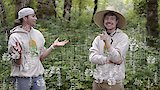 20 million trees by 2020