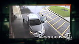 Boy Stops Sister's Violent Kidnapping