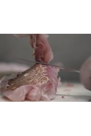 Here's the Catch! - It's the Total Fishing Experience