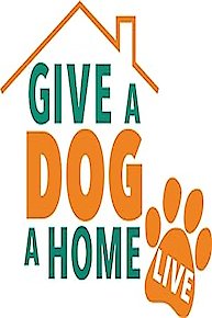 Give A Dog A Home Live!