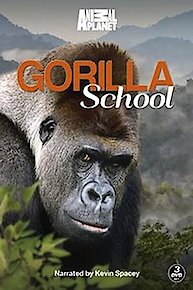 Gorilla School