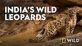 India's Wild Leopards