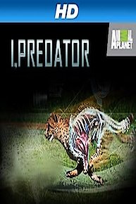 I, Predator