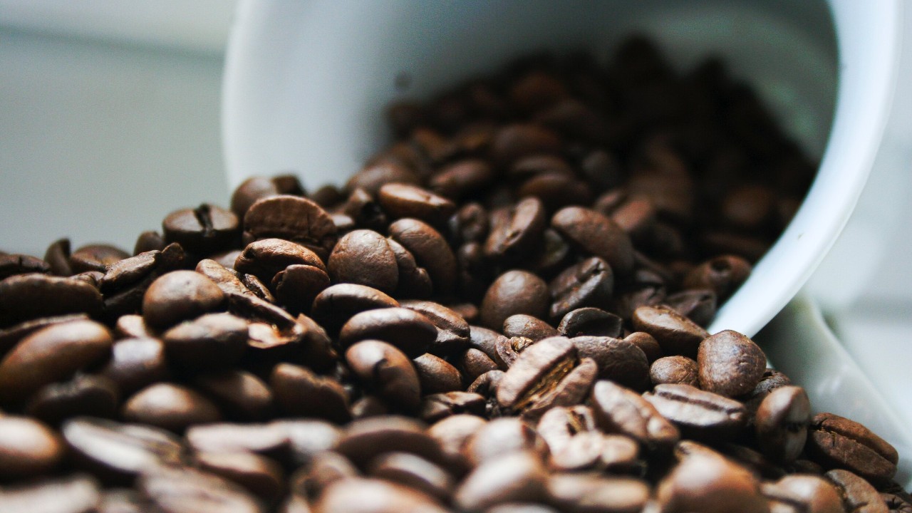 Mountain Crafted: The Art of Good Coffee