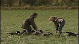 Sniffing Around Heathrow