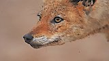 Namibia
