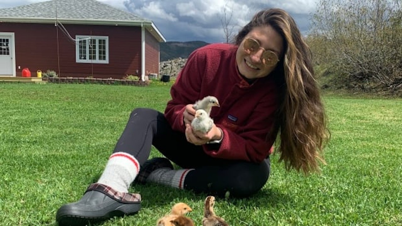 NL Fad or the Future