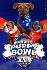 Road To Puppy Bowl