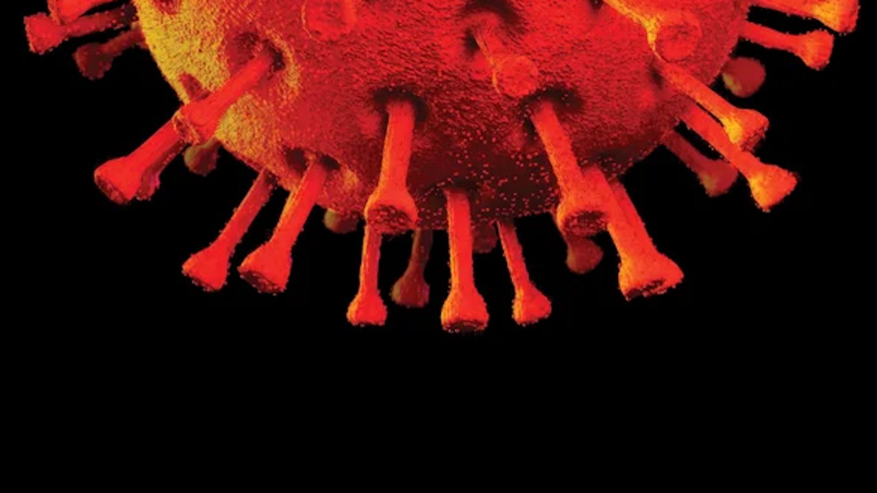 Coronavirus: Special Report
