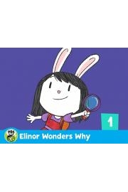 Elinor Wonders Why