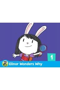 Elinor Wonders Why