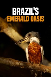 Brazil's Emerald Oasis