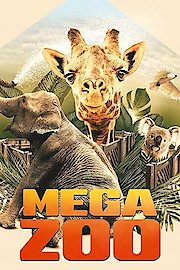 Mega Zoo