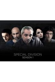 Special Division