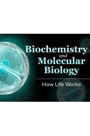 Biochemistry and Molecular Biology: How Life Works