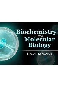 Biochemistry and Molecular Biology: How Life Works