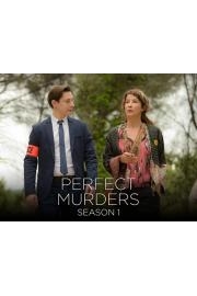 Perfect Murders