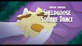 Sheldgoose Square Dance