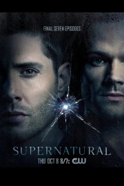 Supernatural: The Long Road Home