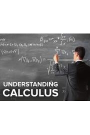 Understanding Calculus: Problems, Solutions, and Tips