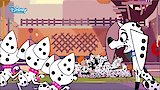 Dog's Best Friend / Boom Night