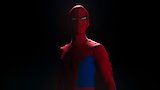 Japanese Spider-Man