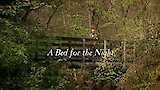 A Bed for the Night