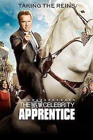 Celebrity Apprentice