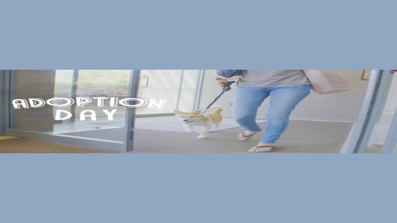 Adoption Day