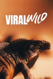 Viralwild