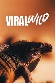 Viralwild