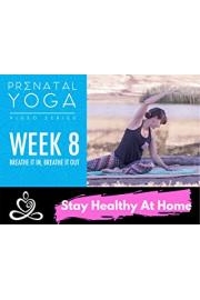 Prenatal Yoga Videos