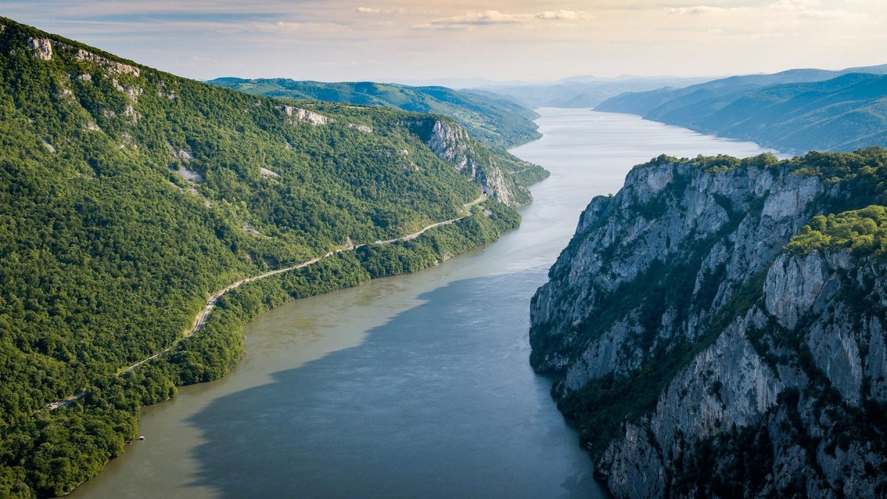Europe's New Wild