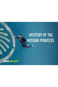 Mystery of the Missing Princess