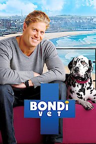 Bondi Vet