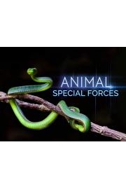 Animal Special Forces