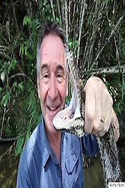 Ten Deadliest Snakes with Nigel Marven